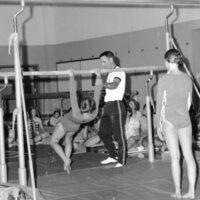 1973 Gymnastics, Parallel Bars 11