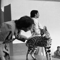 1985 Ackerman Elementary School, Safari 06