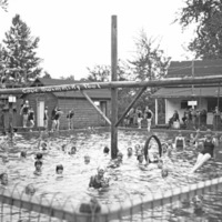 Cove Pool, Swimming 9