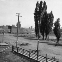 Island City, Rural Area 1