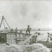 Summerville, Farm Harvest