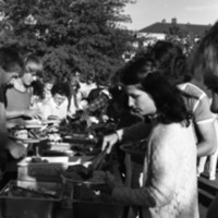 1980 New Students, BBQ 08