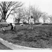 1977 Memorial Garden Planting