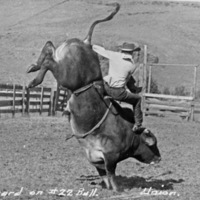 Union Stock Show, 1950 3