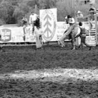 1987 Rodeo, Bronco Riding 09