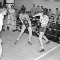 1949-50 Boxing 8-2
