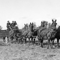 Union Stock Show, 1941 1