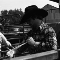 1981 Rodeo, Cowboys 11