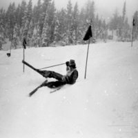 1981 Skiing, Men's Competition 21