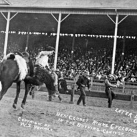 Rodeo, Bucking Bronco 1