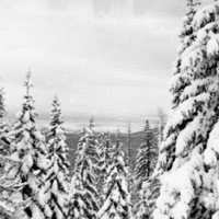 1981 Oregon, Blue Mountains 02