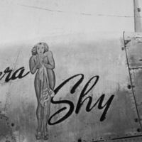 P-38, "Camera Shy"
