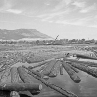 La Grande, Mt. Emily Sawmill 7