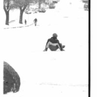 1988 Campus in Winter, Sledding 09