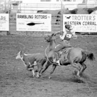 1978 Rodeo, Roping 08