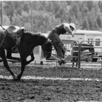 80's Rodeo, Bronco Riding 3-8