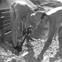 Ie Shima Camp, Shoveling 3