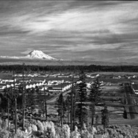 A landscape of houses and tress, with Mount Rainier in the background, 