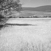 La Grande, Field 3