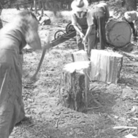 Elgin, American Legion Wood 1