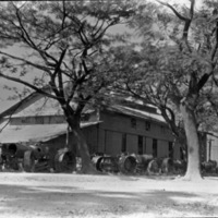 Mindoro, Sugar Plantation 2