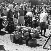 Dagupan, Public Market 14