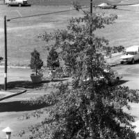 1984 Campus 07