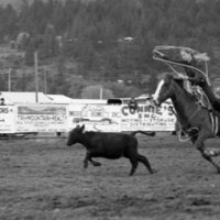 1984 Rodeo Club, Roping 02