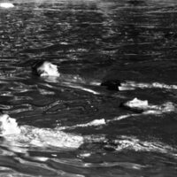 1979 Swimming, Synchronized 03