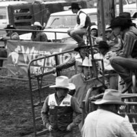 1986 Rodeo, Cowboys &amp; Cowgirls