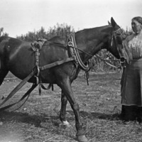 Union County, Woman &amp; Horse 2