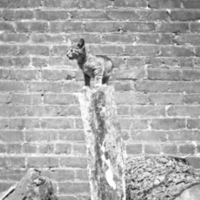 Reuter, Kitten 1