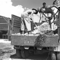 Ie Shima Camp, Shoveling 1