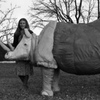 1977 Sculpture, Rhino 02