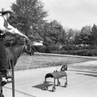 1986 Octoberfest, Roping 17