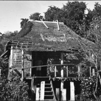 Leyte Local Houses 2