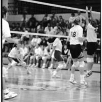 1991 Volleyball Action, Lewis &amp; Clark at EOSC 19