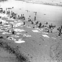 Lingayen, Drying Laundry