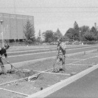 1986 Employees, Groundskeepers 03