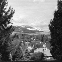 60's Mt. Emily