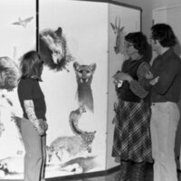 1978 Art, Rick Gibson's Wildlife Panels 10