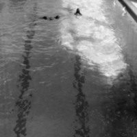 1979 Quinn Swimming Pool 08