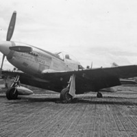 P-51, Minnesota Wildcat