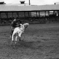 1982 EOSC Rodeo, Bronco Riding 04