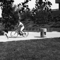 1980 Student, Bicycle 02