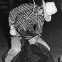 80's Rodeo, Roping 5