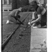 1989 Employees, Planting 19
