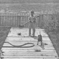 Reuter, Boy &amp; Dog 1