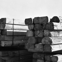 1980 Log Plant 19