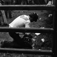 1981 Rodeo, Cowboys 05
